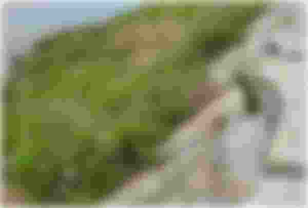 image alt text